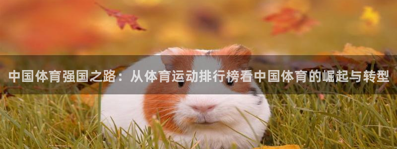 3377体育官网下载平台注册要钱吗：中国体育强国之路