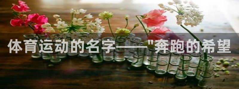 3377体育官网下载注册：体育运动的名字——\