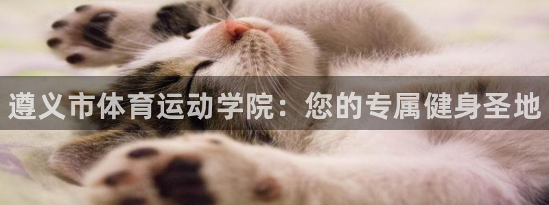 3377体育官方平台体育：遵义市体育运动学院：您的专