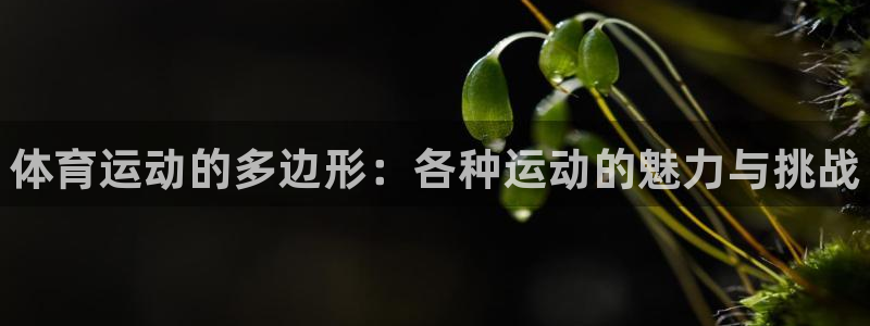 3377体育官方正版app集团官网首页：体育运动的多