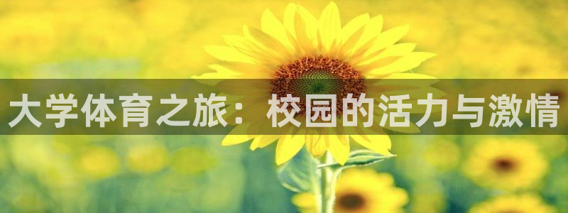3377体育官网下载平台注册流程视频：大学体育之旅：校园的活