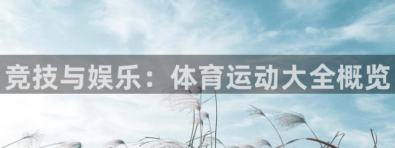 3377体育官网下载注册：竞技与娱乐：体育运动大全概