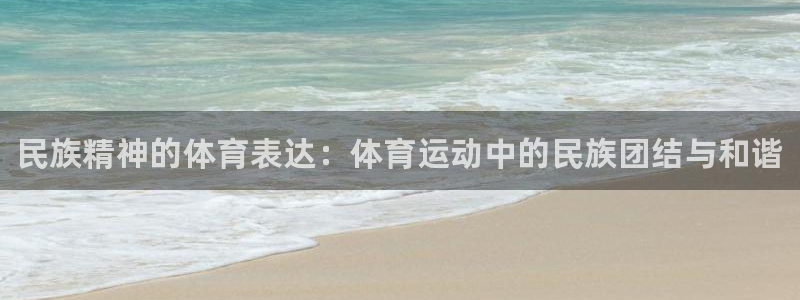 3377体育官网下载联系电话：民族精神的体育表达：体育运动中