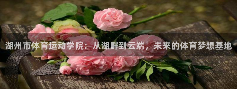 3377体育官网下载：湖州市体育运动学院：从湖畔到云端，未来