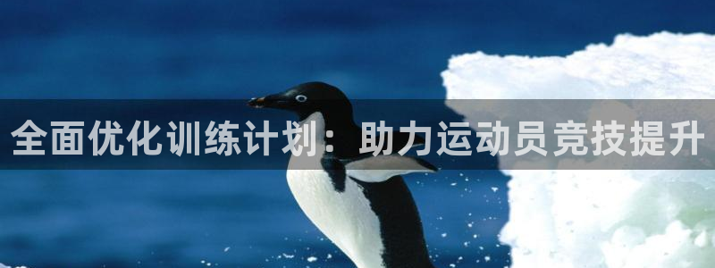 海南3377体育官网下载发展怎么样：全面优化训练计划