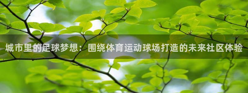 3377体育官网下载平台假的吗是真的吗吗：城市里的足球梦想：