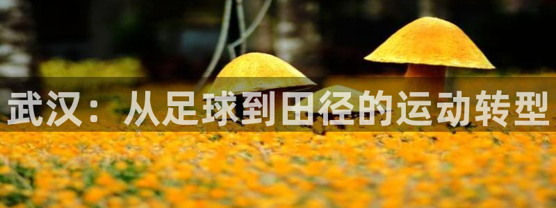 3377体育官方正版app娱乐首页官网下载：武汉：从足球到田