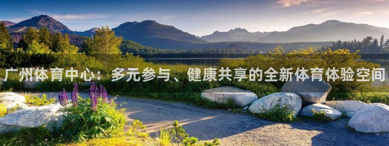 3377体育官网下载平台注册流程图：广州体育中心：多