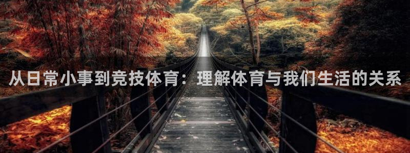 3377体育官网下载平台APP：从日常小事到竞技体育：理解体