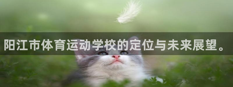 3377体育官网下载招商电话号码查询是多少：阳江市体育运动学