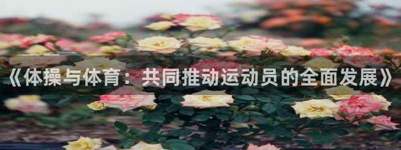 3377体育官方正版app娱乐：《体操与体育：共同推