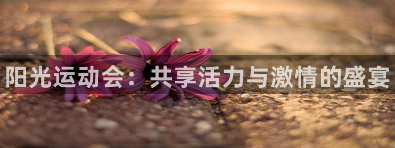 3377体育官网下载平台注册要钱吗：阳光运动会：共享