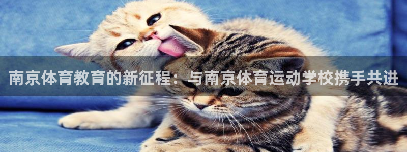 3377体育官网下载招商电话号码查询是多少：南京体育教育的新