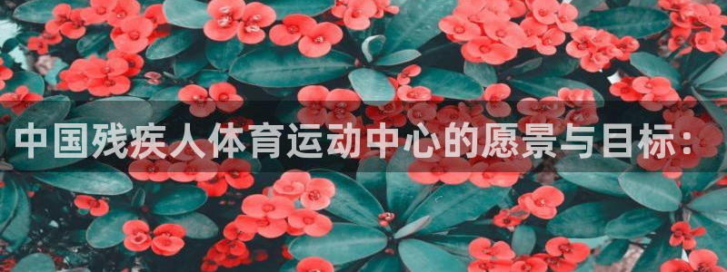 3377体育官网下载招商电话：中国残疾人体育运动中心的愿景与