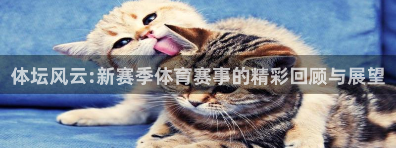3377体育官方正版app娱乐首页官网下载：体坛风云:新赛季