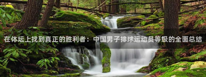 3377体育官方正版app集团E.ON：在体坛上找到