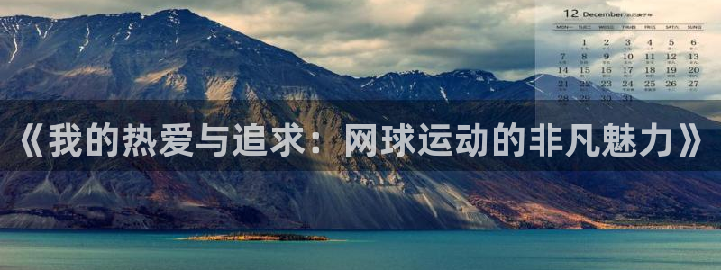 3377体育官网下载平台：《我的热爱与追求：网球运动