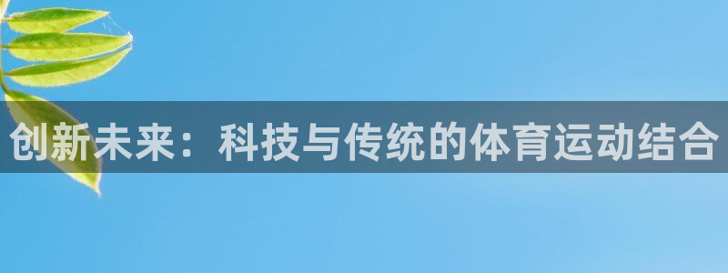 3377体育官方正版app开户：创新未来：科技与传统