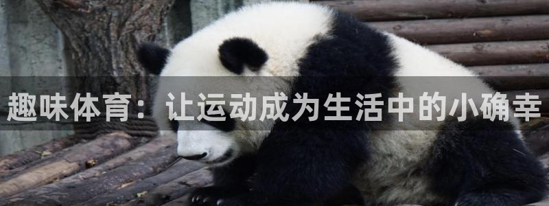 3377体育官网下载平台注册要钱吗安全吗：趣味体育：