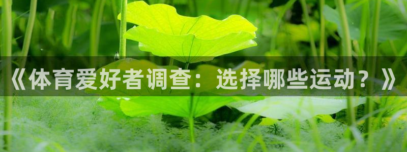 3377体育官方正版app娱乐网站：《体育爱好者调查：选择哪