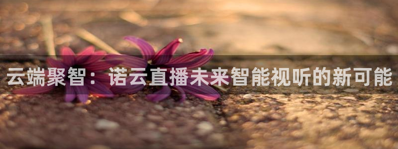 劲爆体育直播在线观看斗地主：云端聚智：诺云直播未来智能视听的新可能
