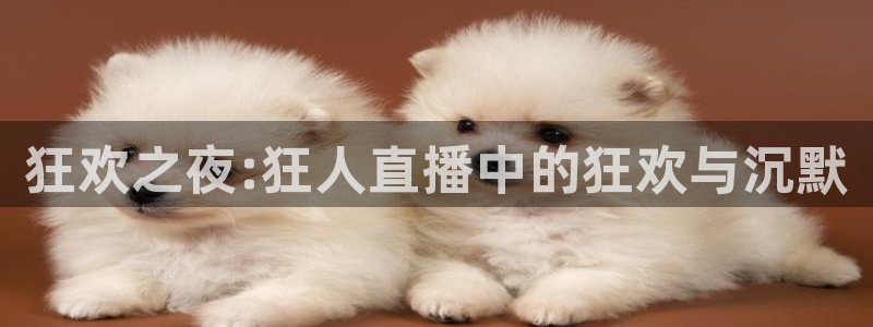 劲爆体育在线高清直播nba：狂欢之夜:狂人直播中的狂欢与沉默