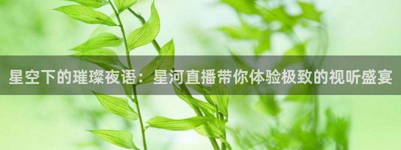 上海劲爆体育频道直播：星空下的璀璨夜语：星河直播带你体验极致的视听盛宴