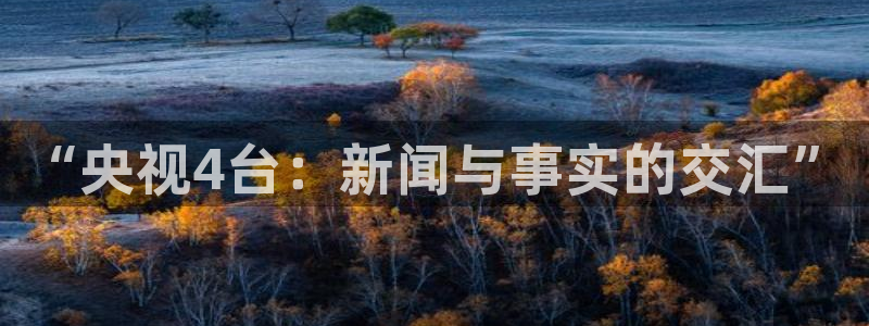 劲爆体育nba直播视频：“央视4台：新闻与事实的交汇”