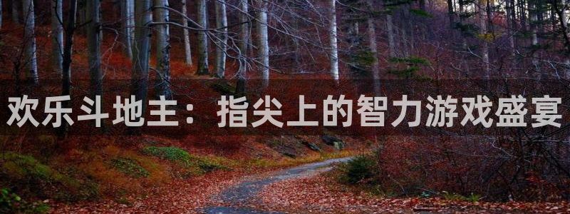 nba劲爆体育直播在哪看：欢乐斗地主：指尖上的智力游戏盛宴