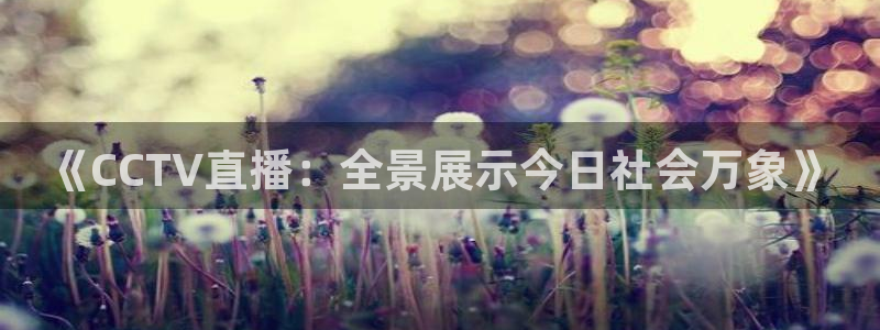 劲爆体育频道直播：《CCTV直播：全景展示今日社会万象》