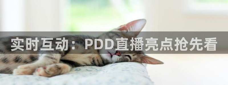 劲爆体育nba免费直播：实时互动：PDD直播亮点抢先看