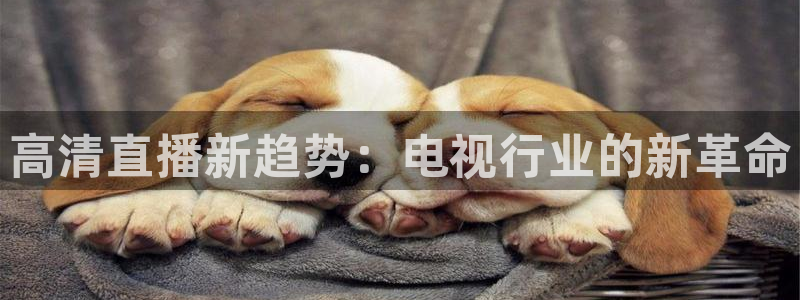 劲爆体育节目表在线观看：高清直播新趋势：电视行业的新革命