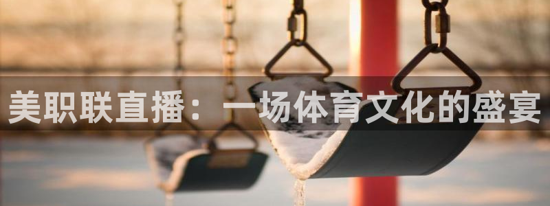 劲爆体育直播免费观看完整版：美职联直播：一场体育文化的盛宴