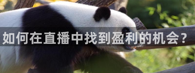 劲爆体育现场直播nba：如何在直播中找到盈利的机会？